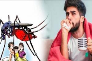 हल्द्वानी: मानसून सीजन में डेंगू व मलेरिया को लेकर एक्टिव हुआ स्वास्थ्य विभाग