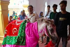 हरदोई : दुलदुल और अग्गासी अलम के जुलूस में शामिल हुए हुसैनी