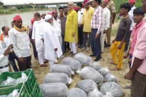 शाहजहांपुर: गर्रा नदी में डाली गई इंडियन मेजर कार्प प्रजाति की दो लाख मछलियां