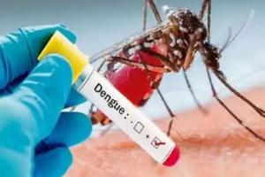 लखनऊ: डेंगू का कहर जारी, हर दिन मिल रहे इतने मरीज, सतर्कता जरूरी