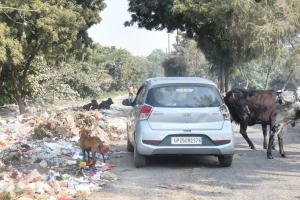 बरेली: सड़कों पर फैला कूड़ा, लोगों ने निकलने में झेली दिक्कतें