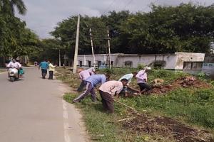 मुरादाबाद : मानपुर में आठ और लोगों को लगा डेंगू का डंक, 33 लोगों का किया एलाएजा टेस्ट