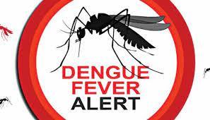 हल्द्वानी: बेस व एसटीएच में डेंगू के एक दर्जन मरीज भर्ती