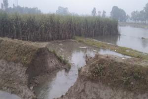 बहराइच: नहर कटने से खेतों में भरा पानी, सैकड़ों बीघा फसल हुई बर्बाद