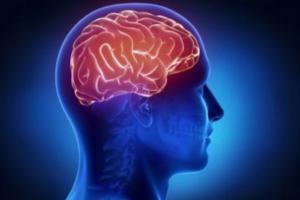 Brain की दुर्लभ बीमारी 'GNB1 Encephalopathy' की दवा खोज रहे Researchers