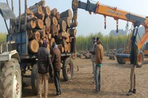 सुल्तानपुर: अवैध तरीके से काटकर जमा की गई लकड़ी पर जुर्माना, वाहन सीज