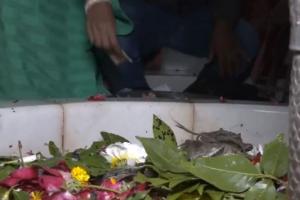 Video : सूरत के इस मंदिर में भोलेनाथ को चढ़ाते हैं जिंदा केकड़े, अनोखी है वजह