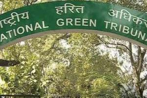 NGT ने उत्तर प्रदेश के विश्वविद्यालय को पक्षी अभ्यारण्य के ‘बफर जोन’ में निर्माण रोकने का दिया निर्देश  