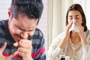 'Influenza A' के उपस्वरूप के कारण फैल रही खांसी और बुखार: ICMR विशेषज्ञ  