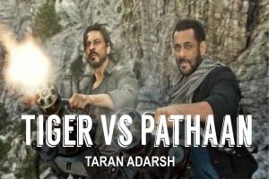 'Tiger Vs Pathaan' में एक साथ नजर आएगी शाहरुख और सलमान की जोड़ी, जानिए कब शुरू होगी शूटिंग?