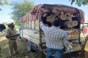 बहराइच: सागौन की बेशकीमती लकड़ी बरामद, वन कर्मियों ने कब्जे में लिया