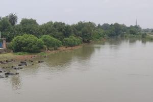 Fatehpur में बढ़ती गंगा से कटरीवासियों की बढ़नी लगी दिल की धड़कनें, रबी की फसल में भी लगेगा झटका 