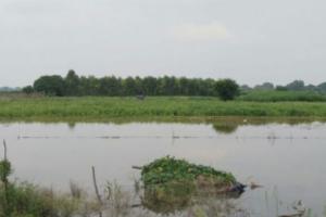 Flood In Kannauj : गंगा का जलस्तर बढ़ने से बढ़ी मुश्किलें, स्कूलों में भी जलभराव, ये है स्थिति