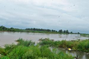 मुरादाबाद: रामगंगा नदी का बढ़ा जलस्तर, खेतों तक पहुंचा पानी