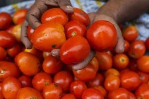 महंगाई की मार: थाली से दूर हुई सब्जी व सलाद, टमाटर पहुंचा 200 रुपये किलो, अन्य सब्जियों के दाम भी छू रहे आसमान