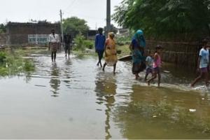 Flood In Kanpur : गंगा का बढ़ा जलस्तर, ग्रामीण परेशान, कटान से मकान ढहने का डर, ये गांव बाढ़ से प्रभावित 