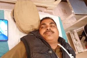 रायबरेली: पुलिस भर्ती परीक्षा में ड्यूटी करने जा रहे उपनिरीक्षक की बाइक मवेशी से टकराई, हालत गंभीर