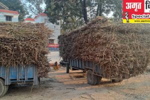 गोंडा: गन्ना लदी ट्रैक्टर-ट्रालियां बनी काल, लील रही लोगों की जिंदगी