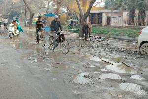 शाहजहांपुर: सीवर लाइन के लिए खोदी सड़कें...गड्ढों में गिरकर चोटिल हो रहे लोग, पेयजल सप्लाई भी ठप