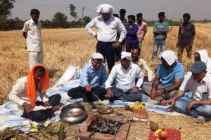 पीलीभीत: कृषि विज्ञान केंद्र में तैयार होगी हाईटेक नर्सरी, मिलेगी गुणवत्तायुक्त सब्जी की पौध...हुआ भूमि पूजन