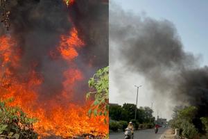 बरेली: कूड़े के ढेर में लगी आग, राहगीरों की बढ़ी परेशानी...उठा धुएं का गुब्बार