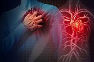 देहरादून: चारधाम यात्रा में Heart Attack से अब तक 52 श्रद्धालुओं की हुई मौत