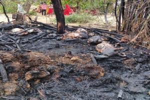 प्रयागराज : घर में लगी आग एक भैंस, 10 बकरियां जलीं 