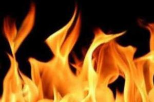 अल्मोड़ा: कटारमल में जंगल की आग से लोनिवि का गेस्ट हाउस जला 