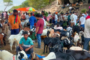 सीएम योगी एक फरमान, अगर सड़कों पर हुई नमाज तो खैर नहीं, आखिर क्या है आदेश