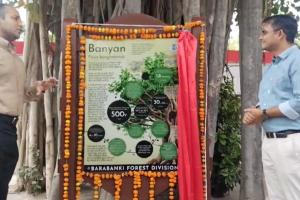 विश्व पर्यावरण दिवस: 30 साल से ऊपर के वृक्षों पर लगेगा क्यूआर कोड, बाराबंकी डीएम की मुहिम