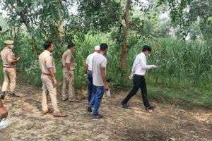 रामपुर: सैफनी के जंगल में महिला का शव मिलने से फैली सनसनी