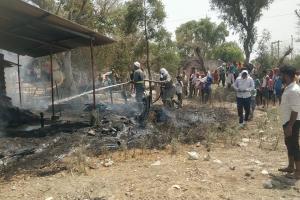 प्रयागराज: गौशाला में लगी आग, झूलसने से तीन मवेशियों की मौत, दो गंभीर