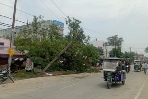 आंधी पानी ने उड़ाई कई इलाकों की बिजली, धानेपुर की एचटी लाइन पर पेड़ गिरने से आपूर्ति ठप 