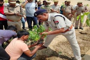 विश्व पर्यावरण दिवस: जिला जेल में किया गया पौधरोपण