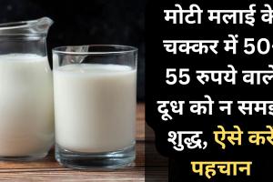 बरेली: मोटी मलाई के चक्कर में 50-55 रुपये वाले दूध को न समझें शुद्ध, ऐसे करें पहचान