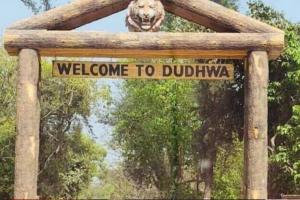 लखीमपुर खीरी: मानसून से पहले दुधवा बाघ अभयारण्य पर्यटकों के लिए बंद 
