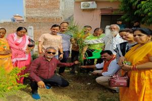 World Environment Day 2024: औरैया में विश्व पर्यावरण दिवस पर गोष्ठी का आयोजन हुआ...5100 पौधों के पौधारोपण की घोषणा 