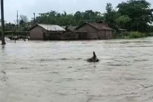 Assam Flood: असम में बाढ़ की स्थिति गंभीर, 1.17 लाख से अधिक लोग प्रभावित 