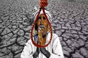 महाराष्ट्र: मराठवाड़ा में 6 महीनों में 430 किसानों ने की आत्महत्या, कृषि मंत्री के गृह जिले में सबसे अधिक मामले
