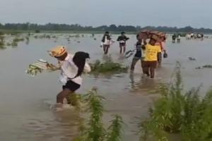 हरदोई: बाढ़ के बीच कपड़े उतारकर दुल्हन के घर पहुंची बारात, पानी-पानी हुए दूल्हे के अरमान    