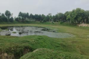 बाराबंकी: कमीशन के चक्कर में जंगल की भूमि पर मनरेगा से बना तालाब, 9 लाख रुपये से हुई थी खोदाई