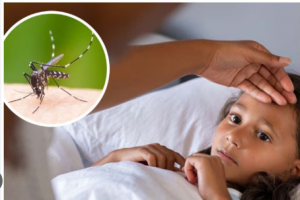 हल्द्वानी: शहर में हेपेटाइटिस A और मलेरिया की दस्तक