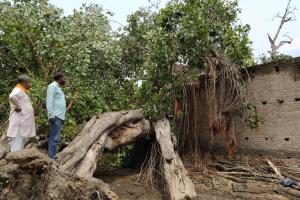 शाहजहांपुर: आंधी में बरगद का पेड़ गिरने से मकान का लेंटर क्षतिग्रस्त...5 परिवारों की बचीं 21 जिंदगियां