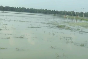 बरेली: बारिश और बाढ़ ने किसानों का बढ़ा दिया कर्ज, खेतों में पानी भरने से फसल खराब