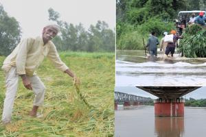 मुरादाबाद : ढेला नदी उफान पर, चार हजार बीघा फसल बर्बाद...क्षेत्रीय लोगों को आवागमन में परेशानी