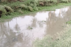 बाराबंकीः ड्रेन खुदाई में सरकारी धन की बंदरबांट, मुख्य मार्गों पर सफाई ठीक बाकी जगह खानापूर्ति