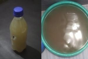 गोंडा: दूषित पानी सप्लाई कर रही नगर पालिका, बीमारी फैलने का अंदेशा...अधिवक्ता ने DM व सिटी मजिस्ट्रेट को भेजा सैंपल