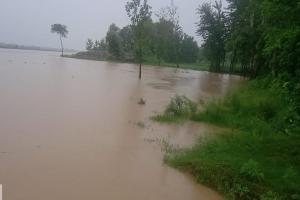 मुरादाबाद : बारिश से बढ़ा रामगंगा का जल स्तर, किसानों को सताया बाढ़ का खतरा 