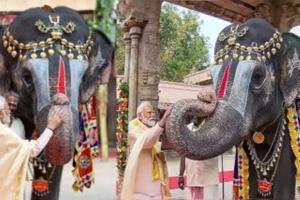 World Elephant Day: विश्व हाथी दिवस पर पीएम मोदी ने 'एक्स' पर शेयर की यह खूबसूरत तस्वीर, जताई संरक्षण की प्रतिबद्धता