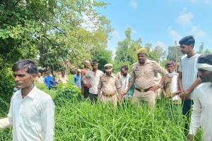 बाराबंकी: जंगली जानवर के हमले में मरा बछड़ा,  इलाके में दहशत, वनकर्मी सतर्क